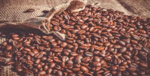 export vietnamese coffee beans to eu
