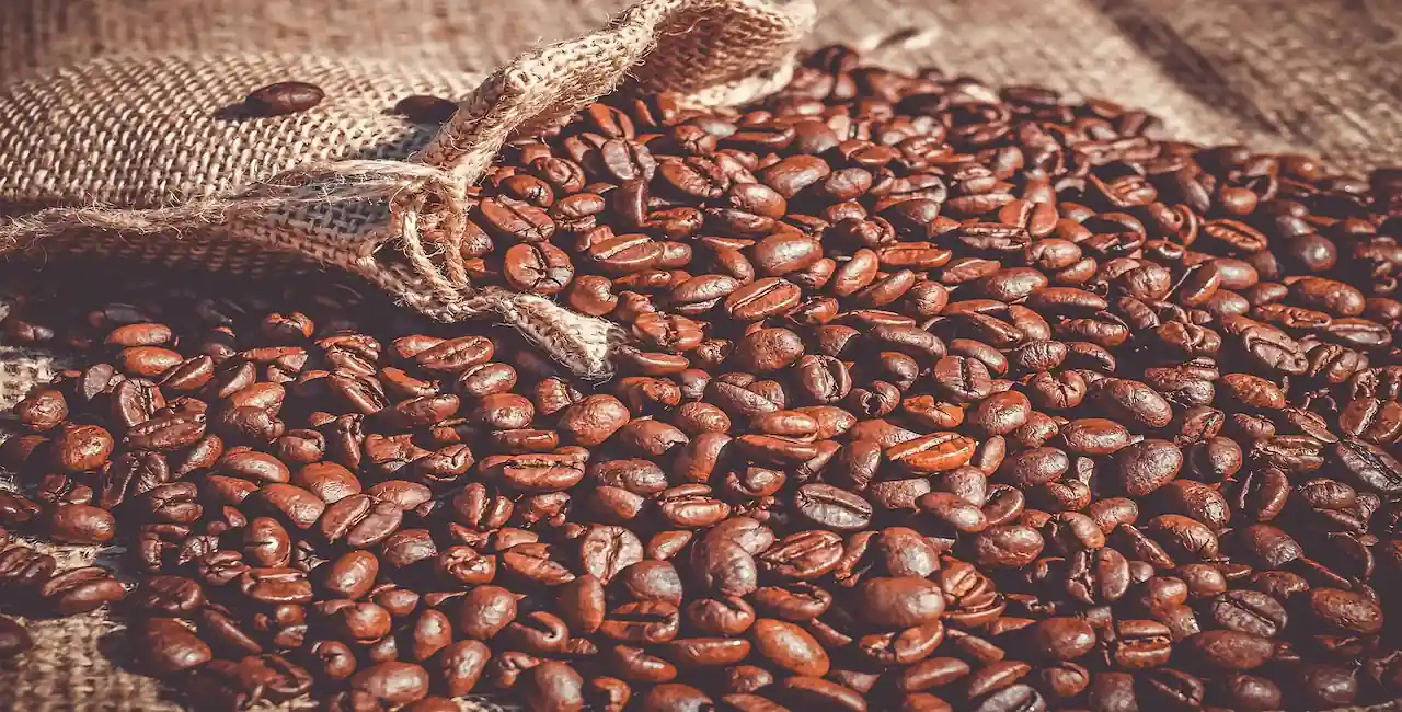 export vietnamese coffee beans to eu